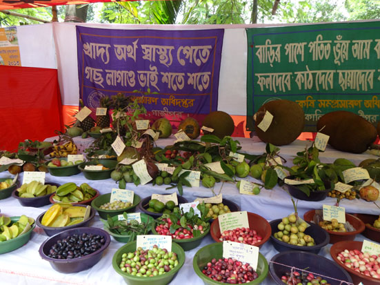 কৃষি