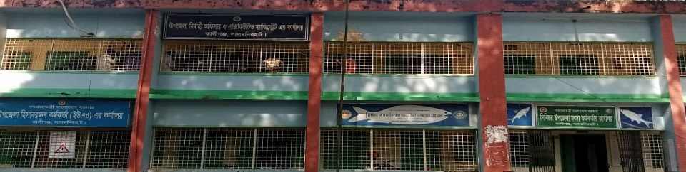 উপজেলা পরিষদ, কালীগঞ্জ
