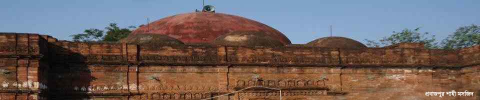 প্রবাজপুর শাহী জামে মসজিদ