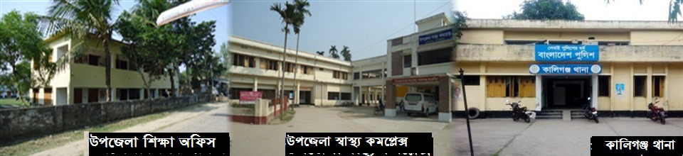 উপজেলার বিভিন্ন সরকারী অফিস