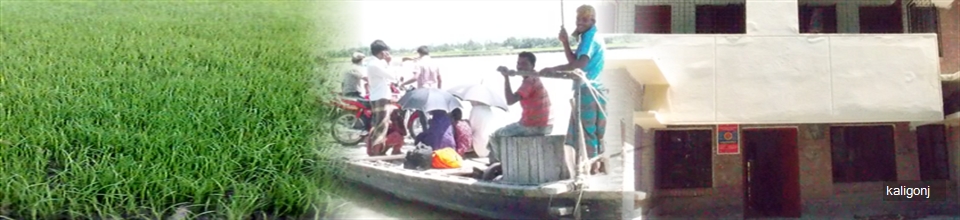 কালিগঞ্জ