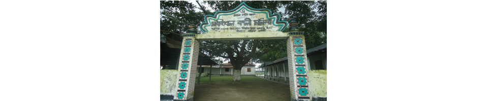 ঐতিহাসিক মাধাই খাল কালী মন্দির