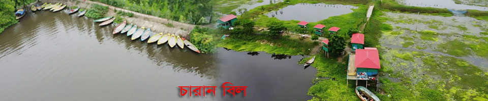 চারান বিল