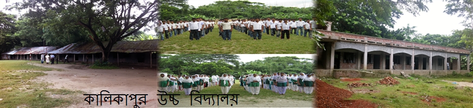 কালিকাপুর উচ্চ বিদ্যালয়