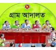 গ্রাম আদালত