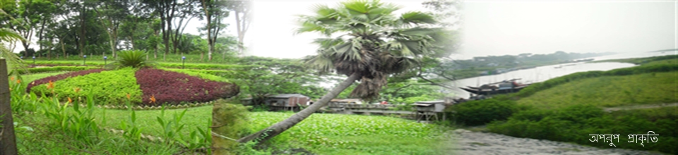 অপরুপ প্রাকৃতি