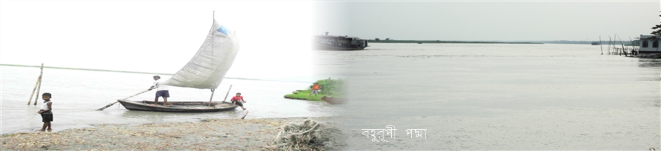 বহুরূপী পদ্মা