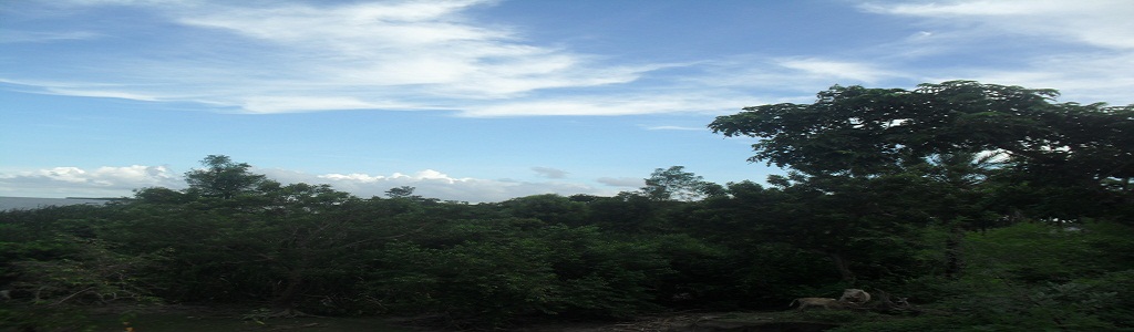 প্রকৃতি