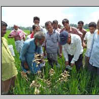 কৃষি ও প্রানীসম্পদ