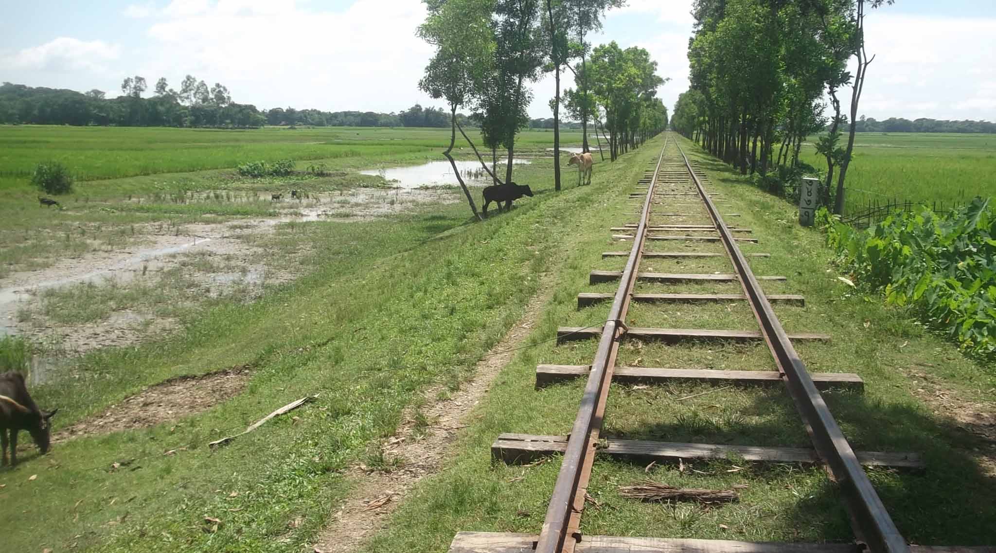 রেললাইন