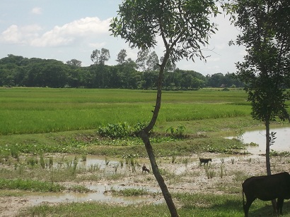 কামাল বাজার ইউনিয়ন 