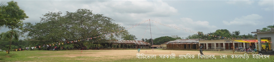 বীচিতোলা সরকারী প্রাথমিক বিদ্যালয়