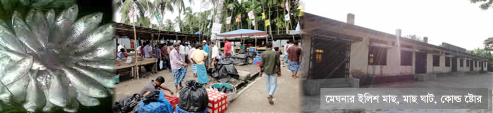 কমলনগর উপজলা