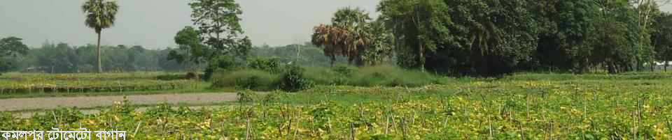 বেনার