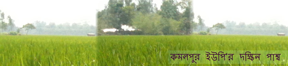 কমলপুর ইউপি'র দক্ষিন পাশ্ব