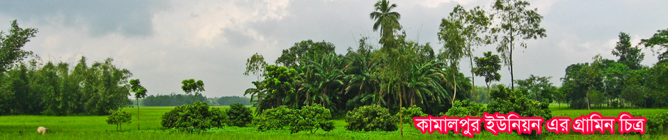 কামালপুর ইউনিয়নের গ্রাম