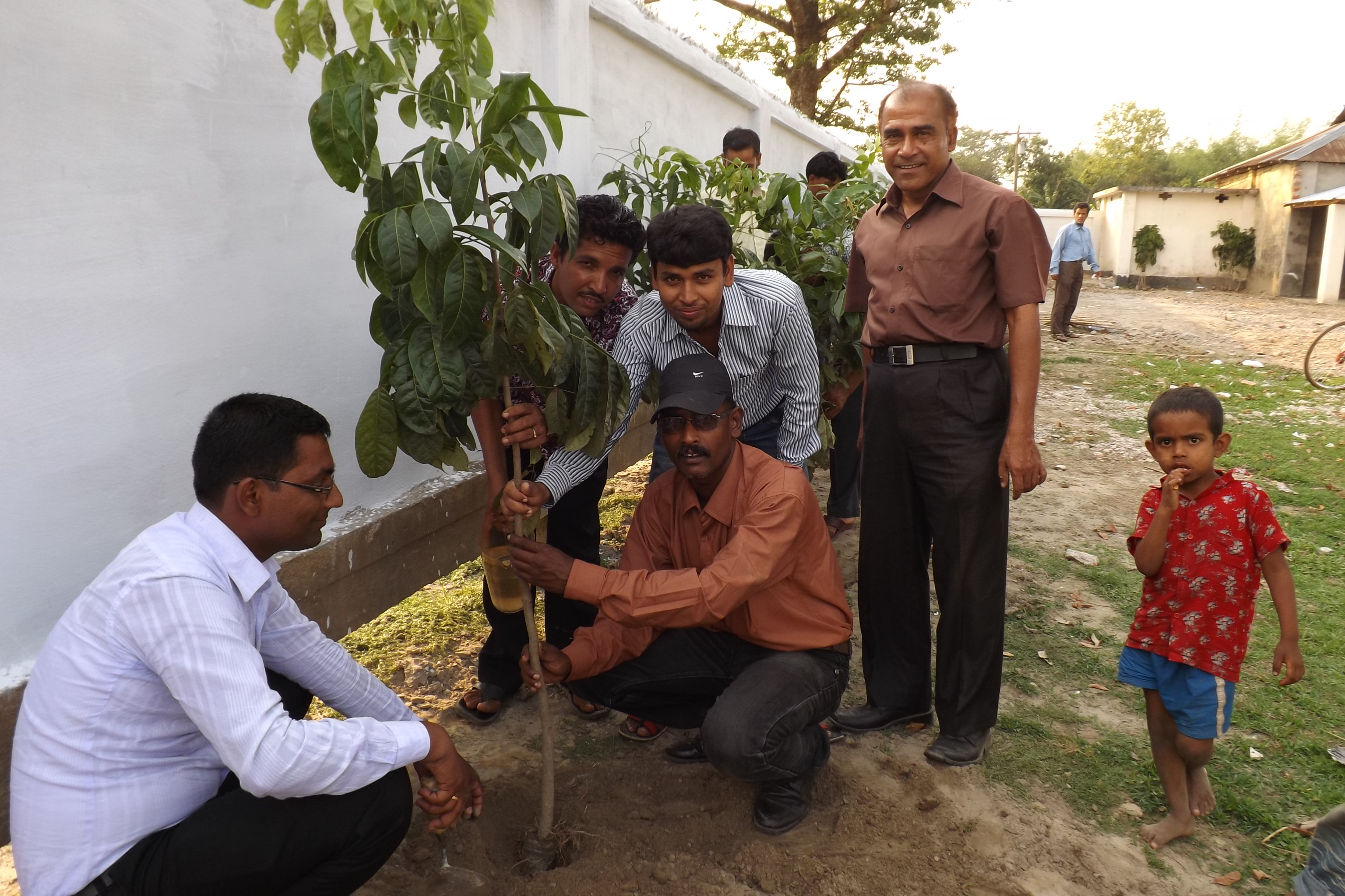 থানীয় সরকার