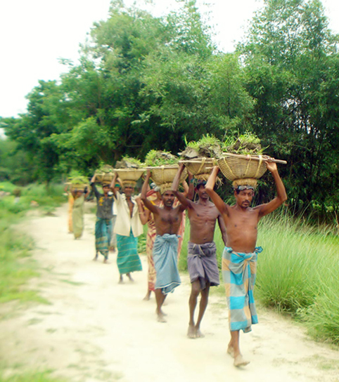 সমাজ সেবা