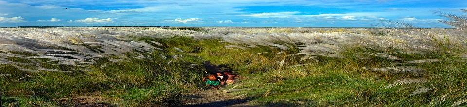 কাশফুলের সাদা সমুদ্রের মাঝে শৈশবের আনন্দ