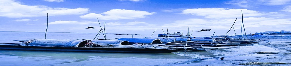 সারি সারি নৌকা: নদীর জীবন