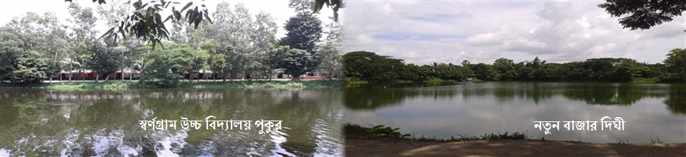 নতুন বাজার দিঘী এবং স্বর্ণগ্রাম স্কুল পুকুর