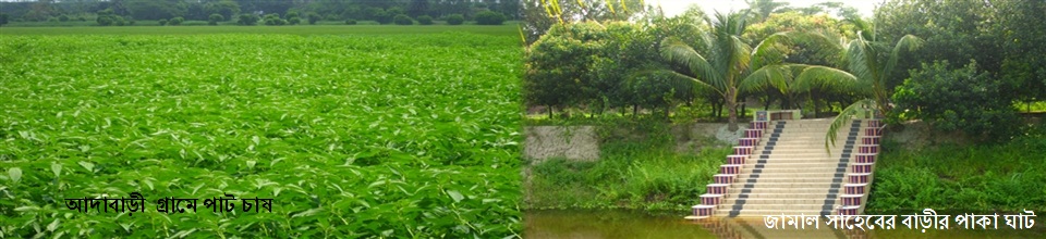 আদাবাড়ী গ্রামে পাট চাষ এবং জামাল সাহেবের বাড়ীর পাকা ঘাট