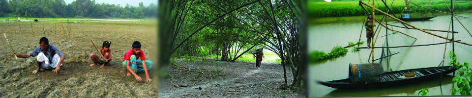 কামারখোলা ইউনিয়ন