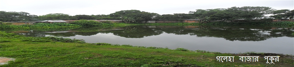 গলেহা বাজার পুকুর।