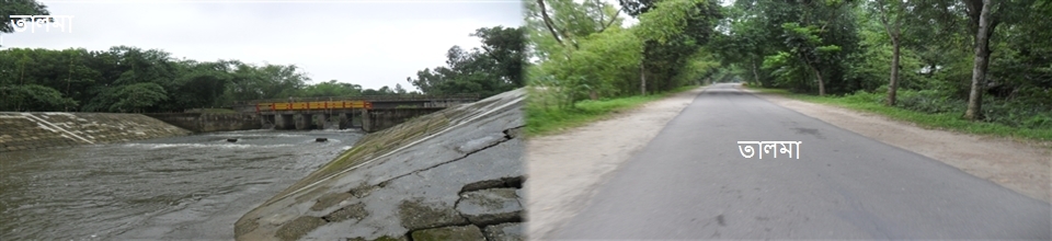 তালমা রাবার ড্যম।