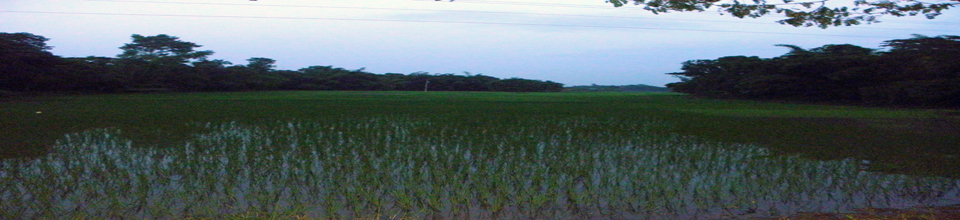 ইউনিয়নের গ্রামাঞ্চল