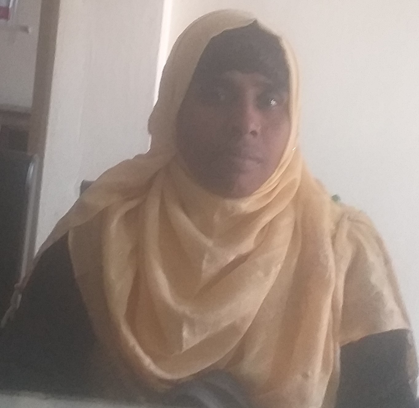 মোছাঃ আরজিনা খাতুন