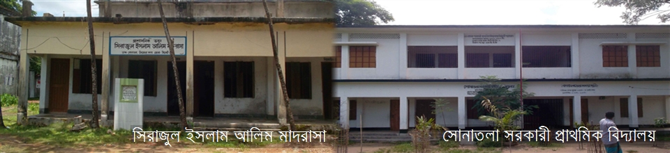 সিরাজুল ইসলাম আলিম মাদরাসা ও সোনাতলা সরকারী প্রাথমিক বিদ্যালয়