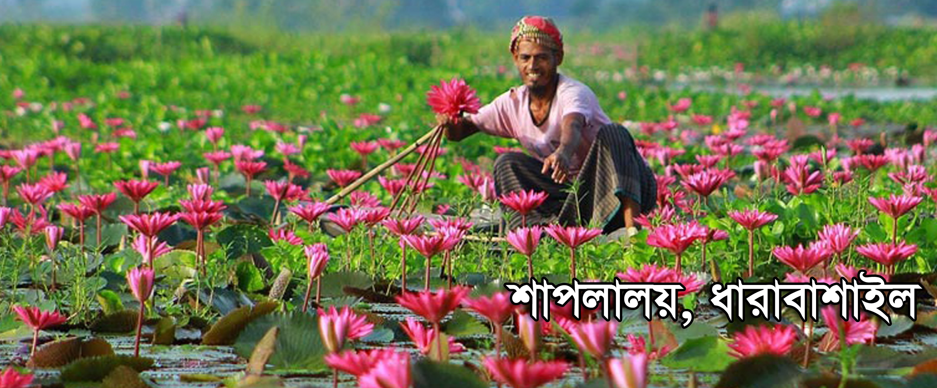 শাপলালয়, ধারবাশাইল