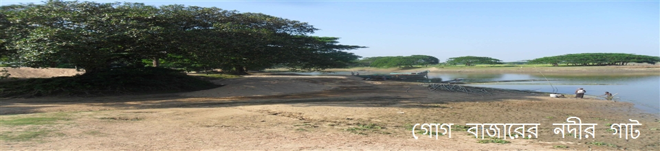 গোগ বাজারের নদীর গাট