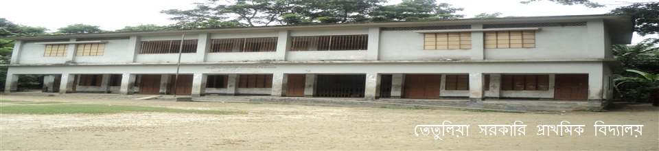 তেতুলিয়া সরকারী প্রাথমিক বিদ্যালয় ।