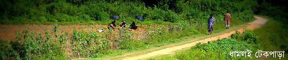 ধামলই টেকপাড়া