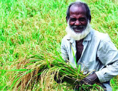 কৃষি ও প্রাণিসম্পদ