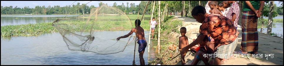 কাপাসিয়ার বিলে মাছ ধরার চিত্র।