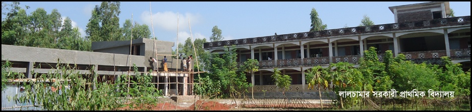 লালচামাড় সরকারী প্রাথমিক বিদ্যালয়