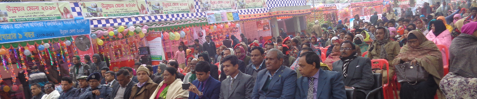 উন্নয়ন মেলা