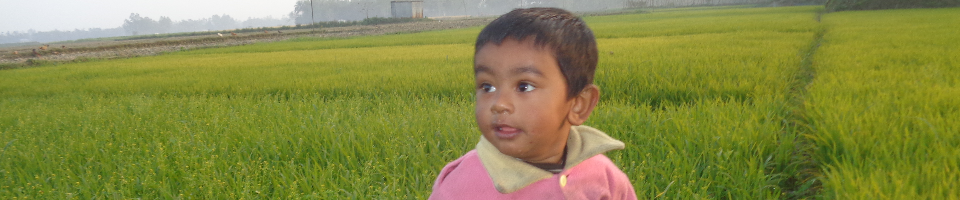 ঘুঘুমারী