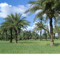 ভূমি অফিস