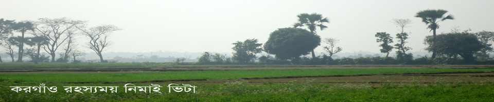 করগাঁও রহস্যময় নিমাই ভিটা