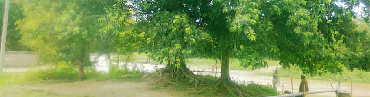 ব্যানার