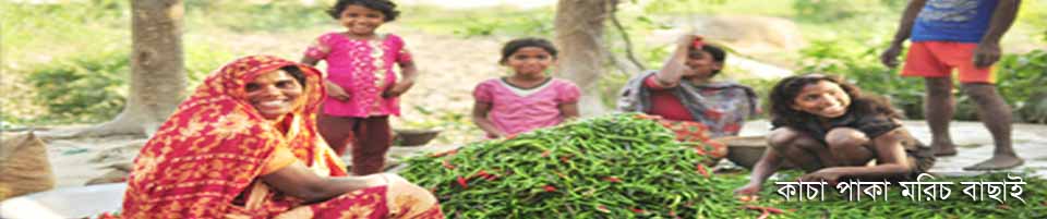 ৪নং কড়িকান্দি ইউনিয়ন