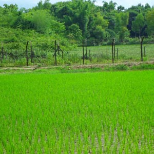 ভূমি অফিস