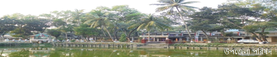 উপজেলা পরিষদ, করিমগঞ্জ, কিশোরগঞ্জ