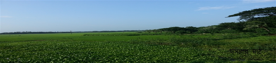ফসলের মাঠ