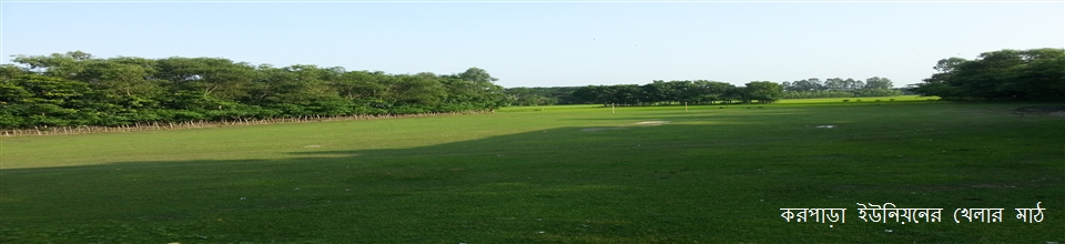 ইউনিয়নের খেলার মাঠ