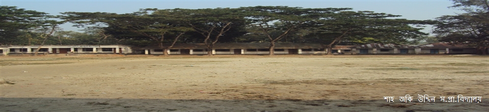 শাহ জকি উদ্দিন সরকারী প্রাথমিক বিদ্যালয়